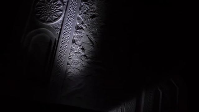 ANIMAMUNDI ARABICA THREE смотреть онлайн