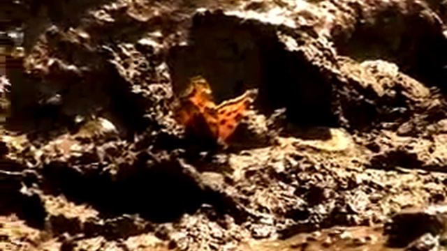 ДОРОГИ ВО ДВОРАХ смотреть онлайн