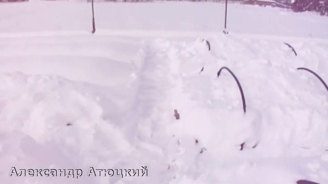 СТОИТ ЛИ ЗАНИМАТЬСЯ ВЫРАЩИВАНИЕМ КЛУБНИКИ смотреть онлайн