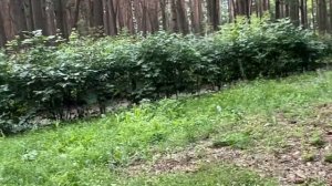 Новый день/ Оксана🔥Знаменитая актриса ютуба🧐