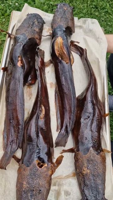 Копченый сом - по-настоящему вкусное блюдо! смотреть онлайн