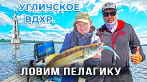 УЧИМСЯ ЛОВИТЬ СУДАКА на ПАНОПТИКС / Угличское водохранилище.