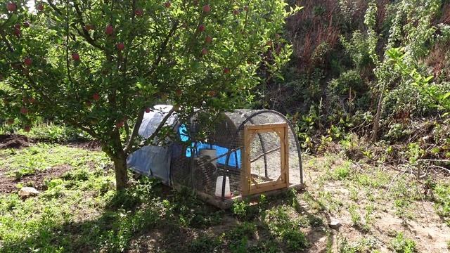 HECTIC FARM LIFE | Many new animals | Building of earthbag dome, shed, tank & toilet. смотреть онлайн