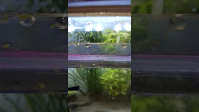 Дела житейские