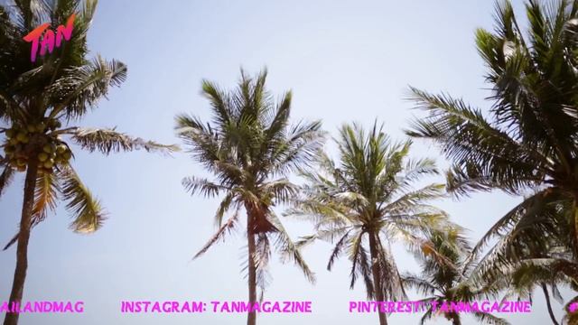 TAN Magazine Issue01: TAN-ISM .15sec смотреть онлайн