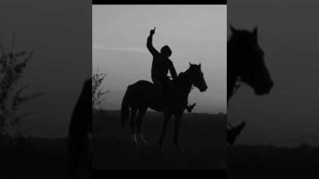 Salil qawafi salil (slowed+reverb) смотреть онлайн