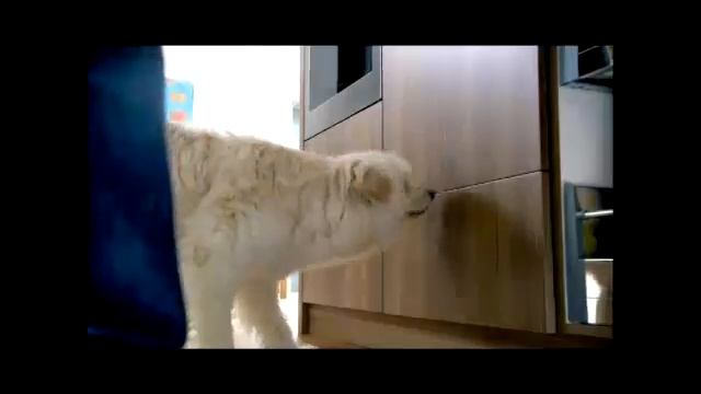 SERVO-DRIVE для LEGRABOX, TANDEMBOX, MOVENTO и TANDEM смотреть онлайн