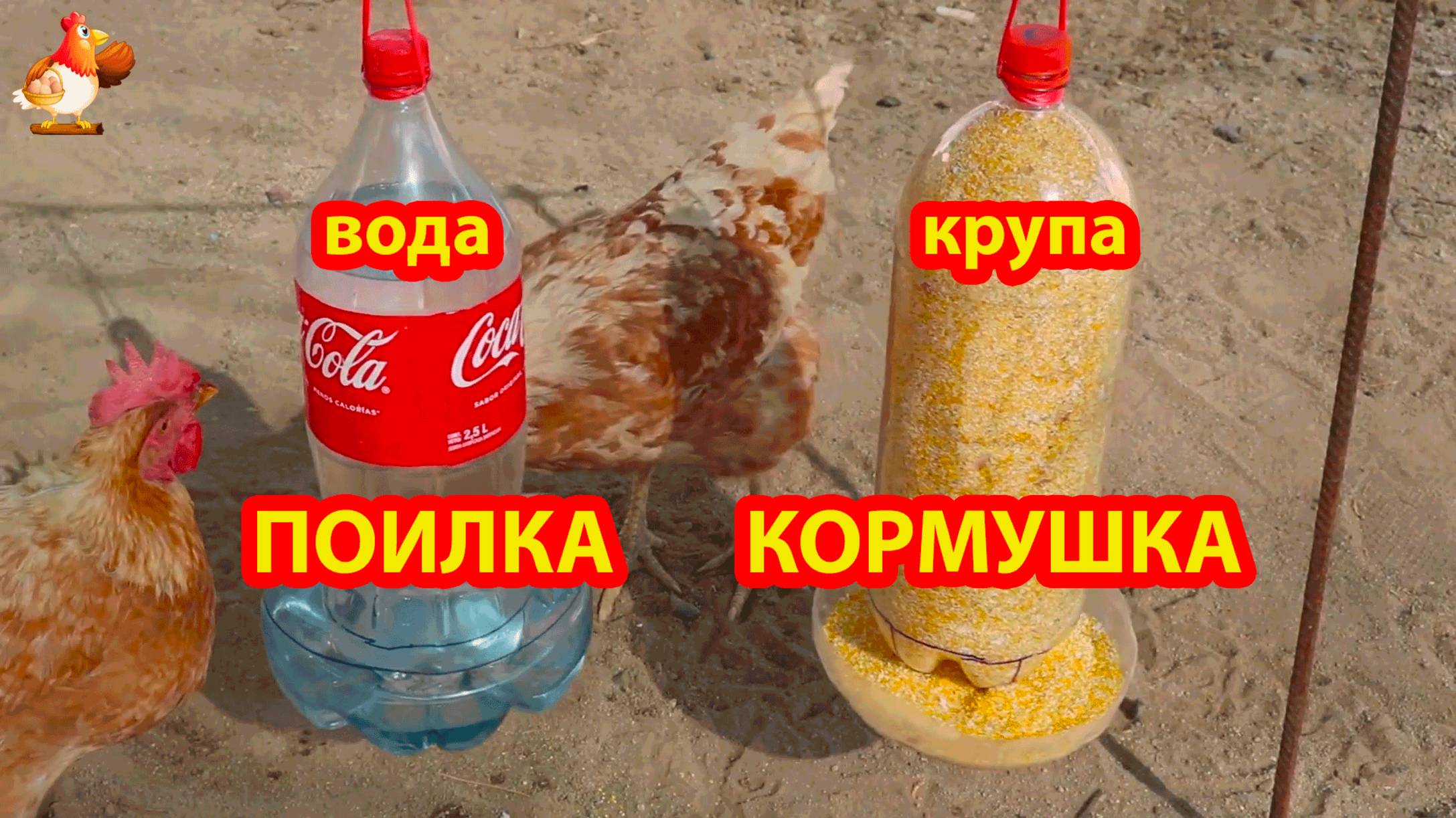 Поилка и кормушка курам подвесные из 2 л бутылок 🪚🪛🔨 смотреть онлайн