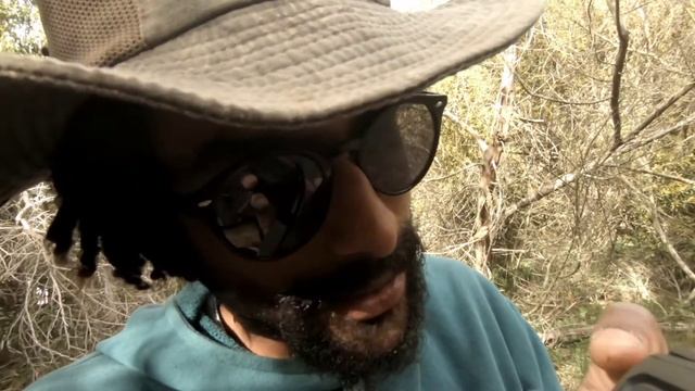 Forclaz Head Torch HL500 | Product Review