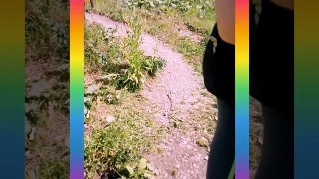 Родник с кристально чистой водой⛲💧🌊Лес#Земляничка🍓#Иван-чай 🌿🌿🌿🌺 смотреть онлайн