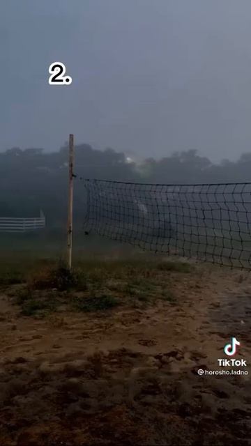 Какие из фото вызывают странные чувства? смотреть онлайн