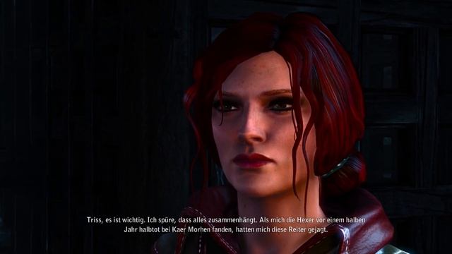 The Witcher 2: Assassins of Kings [Dunkel] #18 - Wo die Apfelbäume blühen смотреть онлайн