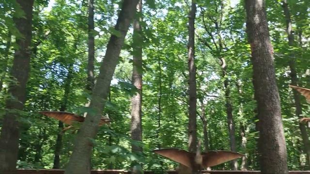 Динопарк Харьков