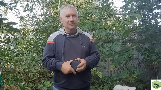 Цукор чи мед?Осіння підгодівля бджіл смотреть онлайн