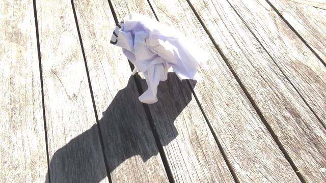 YouTube Spacelab Competition Entry - Rate of Heat Transfer of Fluids in Microgravity смотреть онлайн