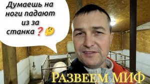 Содержание свиноматок в станках ‼️Развеем мифы о станках для опороса 😉