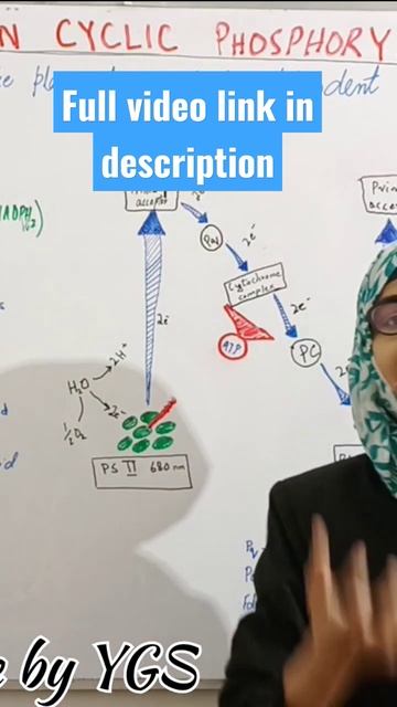 Light dependent reaction #shorts #youtubeshorts смотреть онлайн