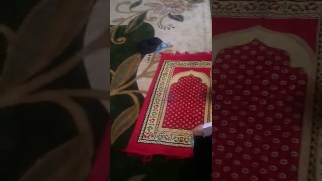 Туркестан Шавкатжон смотреть онлайн