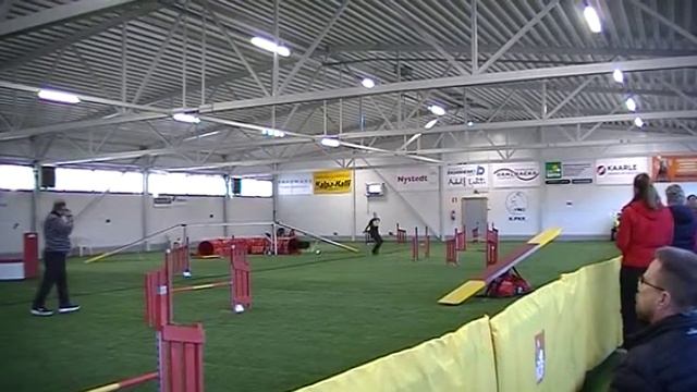 Huhtikuu 2019 Daniela ja Giga D-rata смотреть онлайн