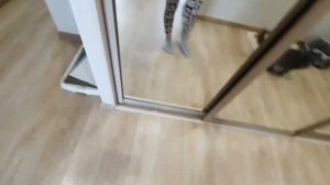 Почему Басе не нравятся Рысины шалости?