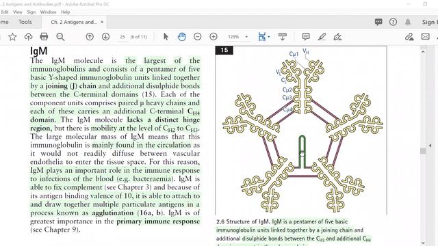 Different classes of immunoglobulins and their structure, functions, and characteristics [Urdu] смотреть онлайн