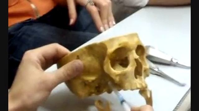 анестезия др киримов медицински университет варна смотреть онлайн