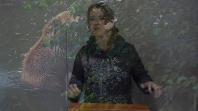 Kristina Vybornova "The Forest" (Кристина Выборнова, "Лес") смотреть онлайн