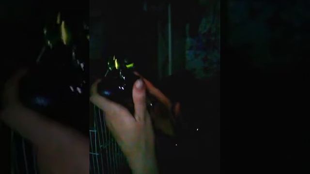 Копия видео "CAM00222.mp4" смотреть онлайн