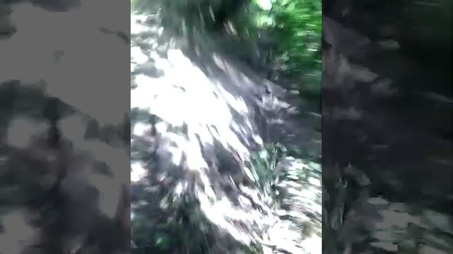 Первое видео прохожим круг от начала до начала смотреть онлайн