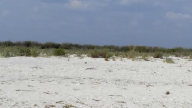 Остров Джарылгач, Лазурное, Херсонская область смотреть онлайн