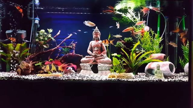 Aquael Glossy 120 (260ltr) progress смотреть онлайн