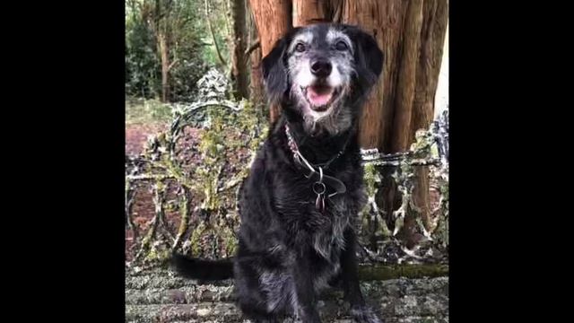 Miss you Millie xx смотреть онлайн