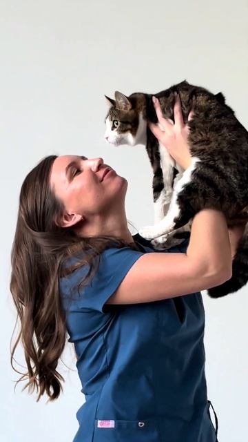 Фотосессия для ветеринаров в студии "Фабрика" смотреть онлайн