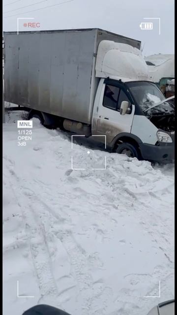Газель смотреть онлайн