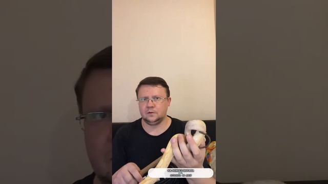 Делаем кладку смотреть онлайн
