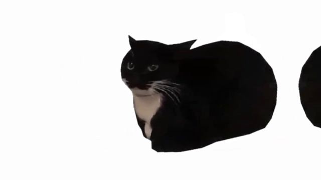Maxwell Cat || Meme || смотреть онлайн