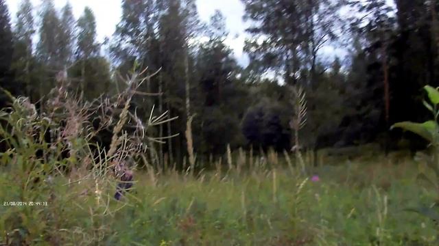 Игра лт 21-08-2014 # 3 смотреть онлайн