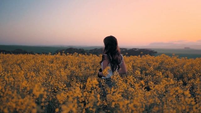 Eminem, Selena Gomez - Baby, Don't Hurt Me (ft. Nina Nesbitt) Remix by Jovens Wood смотреть онлайн
