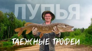 Большое Летнее Путешествие 2016. Сплав со спиннингом по р. Верхняя Лупья