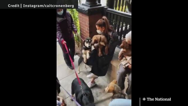 The stories behind Caitlin Cronenberg’s celebrity photos смотреть онлайн