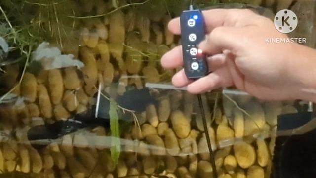 Honest Product Review The Seaoura Aquarium LED Aquarium Light 24/7 Detailed Review and Instruction смотреть онлайн