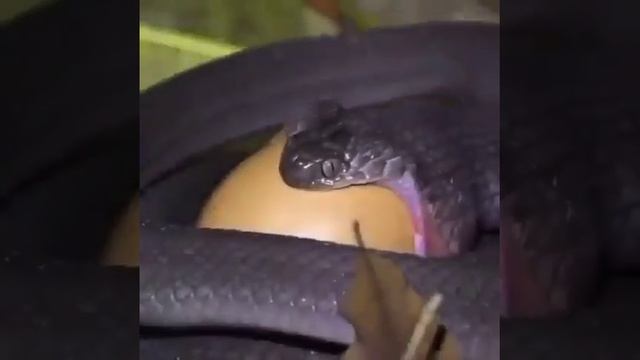 Eggs смотреть онлайн