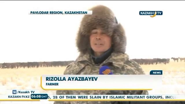 Павлодар облысында қазақ жылқысының жаңа тұқымы шығарылды - Kazakh TV смотреть онлайн