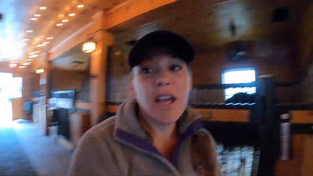 Equestrian BARN TOUR • Another Day in the Life of an Eventing Barn Manager | HORSE FARM VLOG смотреть онлайн
