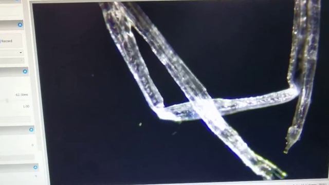 DIY Darkfield Lighting смотреть онлайн