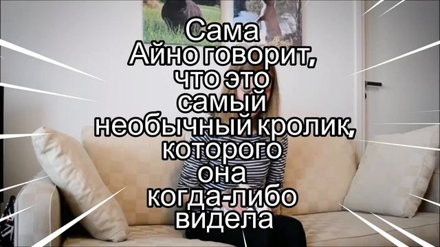 ОХ УЖ ЭТИ ЖИВОТНЫЕ смотреть онлайн