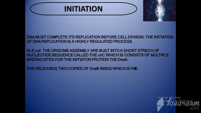 DNA Replication in Prokaryotes (Theta replication) смотреть онлайн