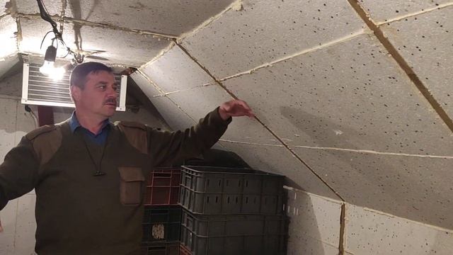 Моё фруктохранилище. смотреть онлайн