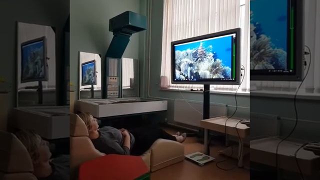 Проведение сеанса психокоррекции с применением системы BrainBit в МОБУ СОШ ЦО Кудрово смотреть онлайн