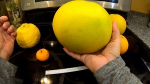 Thong Dee Pomelo, Thong Dee Pummelo, Sanbokan lemon